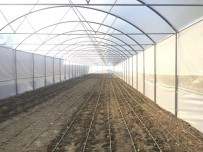 Hibe Destekli 42 Seranın Yapımı Devam Ediyor