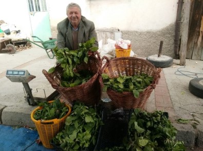 Hisarcık'ta Yerli Ispanağa Rağbet