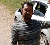 Kestiği Ağacın Altında Can Verdi