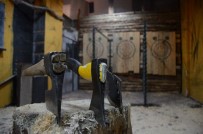 Amerika'da Büyük İlgi Gören Balta Oyunu Artık Türkiye'de