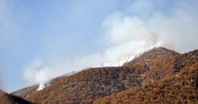 Tunceli'de PKK'ya Büyük Darbe