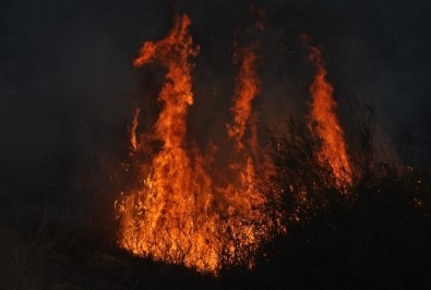 Doğu'da Sibirya Soğukları, Batı'da Kurak Ve Sıcaklık Nedeniyle Örtü Yangınları