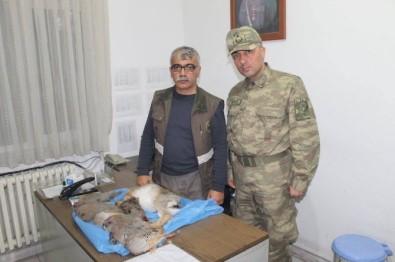 Iğdır'da Kaçak Avlanmaya 5 Bin 800 TL Ceza