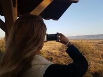 DOĞA FOTOĞRAFÇISI - Karacabey Longozu'ndan Tuğba Özay Geçti