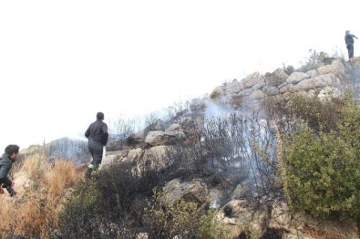 Milas'taki Yangın Evleri Tehdit Etti