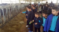 PıNAR SÜT - Minik Öğrenciler Süt Üretimini Öğrendi