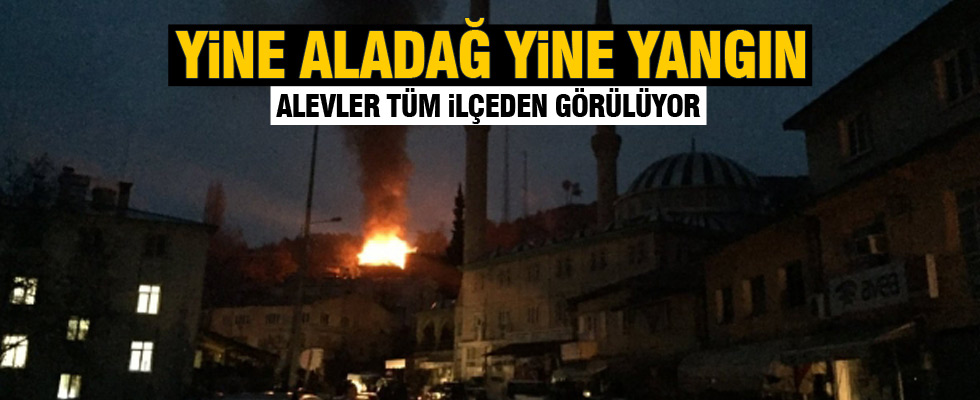Aladağ'da yine yangın