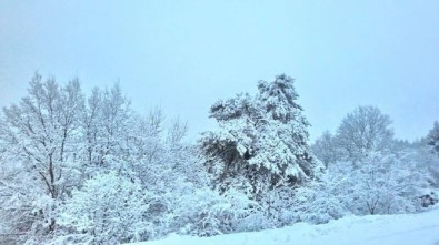 Bilecik'in Beyaza Bürünürken Yer Yer Kar Kalınlığı 25 Santimetreyi Buldu