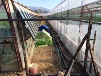 DEMRE - Kümes Hırsızları 26 Tavuk İle 3 Horozu Çaldı