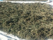 Terörün finans kaynağı uyuşturucuya Lice'de büyük darbe