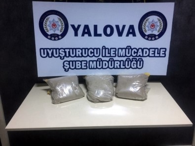 Yalova'da Uyuşturucu Operasyonu