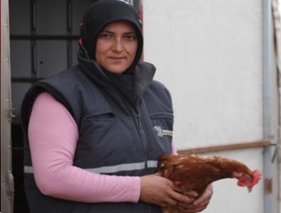 İstediği lezzette yumurta bulamayınca çiftlik kurdu!