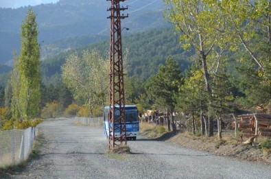 Tosya'da Yol Ortasında Kalan Elektrik Direği Kaldırıldı
