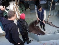 KÖPEK BALIĞI - Çinekopa ağ atan balıkçılar köpek balığı yakaladı