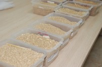 GÜMÜŞSU - Ekmeklik Buğday 1 Lira 10 Kuruştan İşlem Gördü