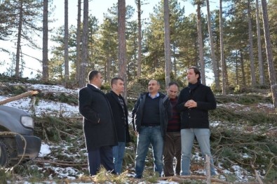 Emet'in Ormanlarını İnceledi