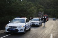 ÇAKıLLı - Hayatını Ağaç Kurtardı