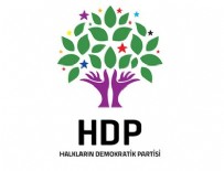 BESİME KONCA - HDP'li vekil serbest bırakıldı