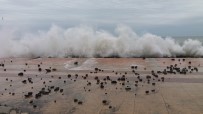 TSUNAMI - Karadeniz'de Dev Dalgalar