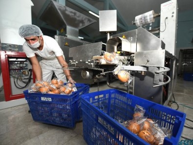 MER-EK'de Yedi Çeşit Ekmek Üretiliyor
