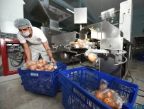 ÇAVDAR EKMEĞİ - MER-EK'de Yedi Çeşit Ekmek Üretiliyor