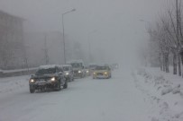 DÜZAĞAÇ - Bingöl'de Hayat Felç