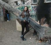 DİYALİZ HASTASI - Evin Üzerine Ağaç Devrildi