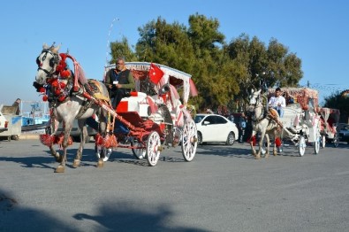 Faytonlara Plaka Uygulaması