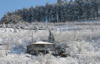 İRFAN BALKANLıOĞLU - Ordu'da Kardan Kapanan Yollar Açılıyor