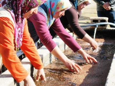 Türkiye'nin Fidanları Eğirdir'de Yetiştiriliyor