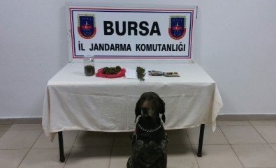 Zehir Tacirine 'Roket'li Darbe