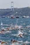 YÜZME YARIŞI - Samsung Boğaziçi Kıtalararası Yüzme Yarışı Dünyanın En İyisi Olmak İçin Yarışıyor