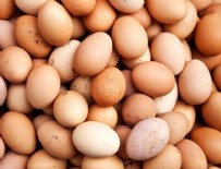 KUŞ GRIBI - Yumurta fiyatları 20 günde yüzde 100 arttı