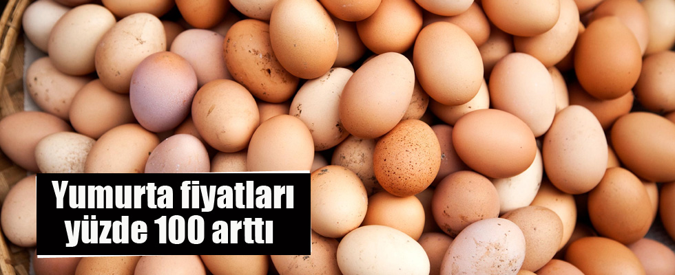 Yumurta fiyatları 20 günde yüzde 100 arttı