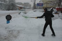 VAN BAHÇESARAY - Van'da Kar Hayatı Durma Noktasına Getirdi