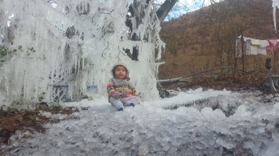 Beytüşşebap'ta Buz Tutan Ağaçlar Kartpostallık Görüntü Oluşturdu
