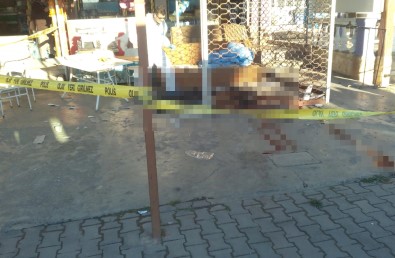 Karı kocanın pansiyonda esrarengiz ölümü