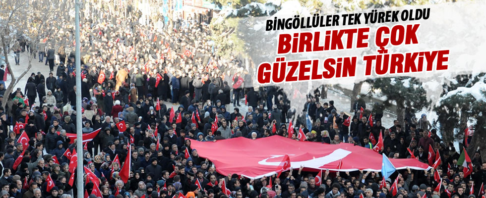 Bingöl'de şehitlere saygı ve milli birlik yürüyüşü