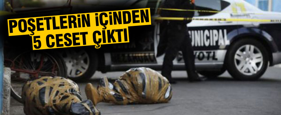 Poşetlerin içinden 5 ceset çıktı