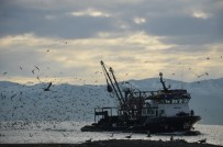 Ordulu Balıkçılar Batı Karadeniz'de Avlanıyor