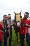 Eskişehirli Yunus Güçlü'nün Arap Tayı Yarışlarda Birinci Geldi