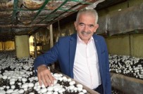 SARıIDRIS - İşsizliği Sıfırladı Kahvehaneler Kapandı