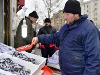 HAMSİ FİYATLARI - Kastamonu'da Yakalanan 500 Ton Hamsi, Fiyatları Düşürdü