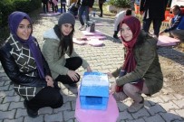 DİNLENME TESİSİ - Öğrencilerden Sokak Kedilerine Ev