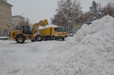 Palandöken Belediyesi Kamyonlarla Şehir Dışına Kar Taşıyor