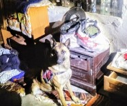 KOCABAŞ - Soba İçindeki Uyuşturucuyu 'Evlat' Buldu