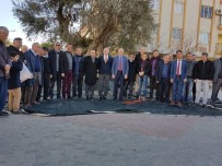 İSKENDER YÖNDEN - 1000 Yıllık Zeytin Ağacının Etrafında Birleştiler