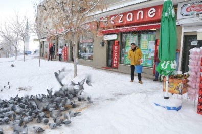 Bozüyük'te Kuşlar İçin Yem Bırakıldı