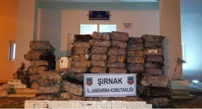 Şırnak'ta 329 Bin Paket Kaçak Sigara Ele Geçirildi