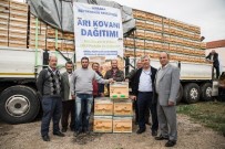 JEOTERMAL KAYNAKLAR - Ankara Büyükşehir Belediyesi 2017'De Üreticilere 4 Bin Arı Kovanı Dağıtacak